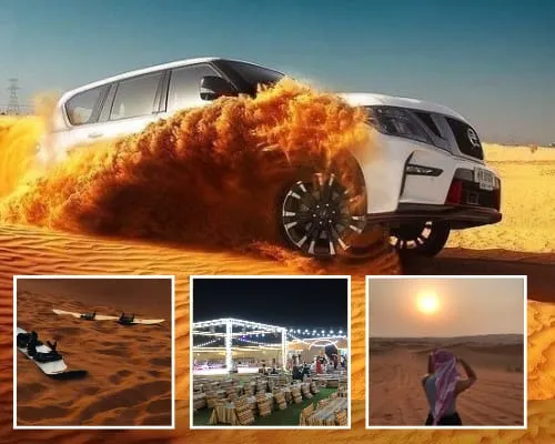 Camel Ride Abu Dhabi